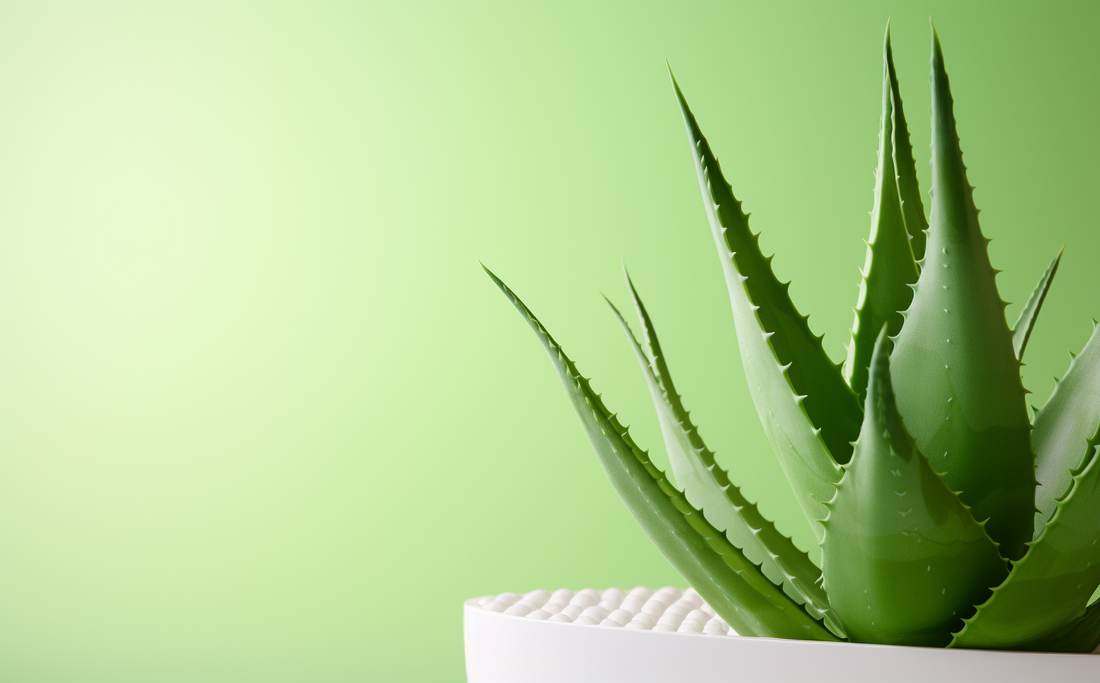 Greenworth,Best Aloevera Gel,Aloevera Gel for Skin,Aloevera Gel for face