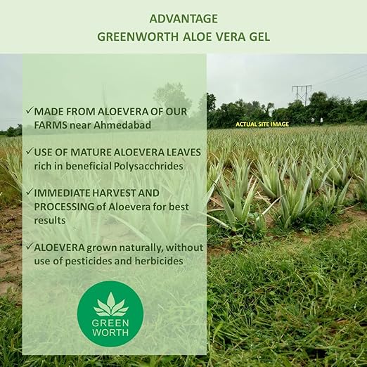 GREEN WORTH Pure Aloe Vera Gel 200 gm