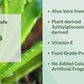 Combo of Multipurpose Aloe Vera Gel (200gm) and Rose Water (200 ml)